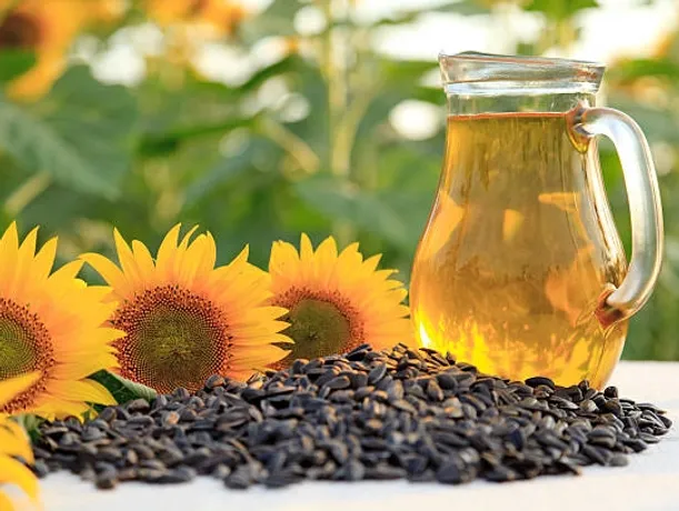 Photo of sunflowers with sunflower seeds and pitcher of sunflower oil